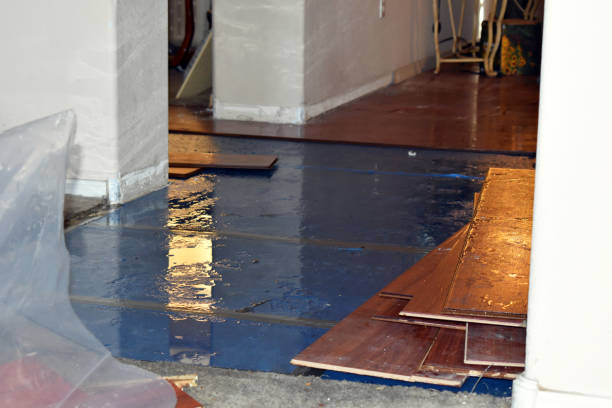 Professional Basement Water Removal technician working in Basehor, KS